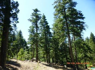 32217 Cape Horn Rd, Running Springs, CA 92382