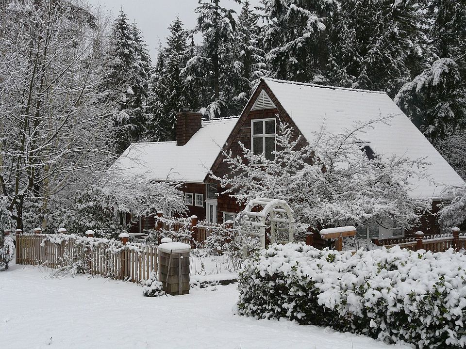 snow day!