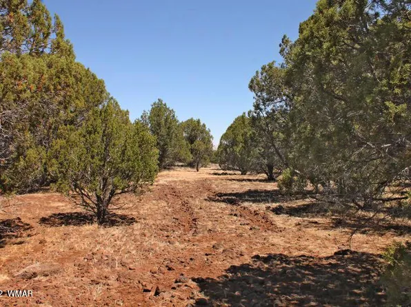 Lakeland Rd, Show Low, AZ 85901
