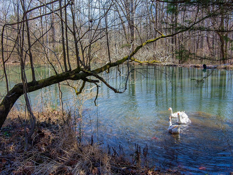 1st image of 240 Sardis Church Rd