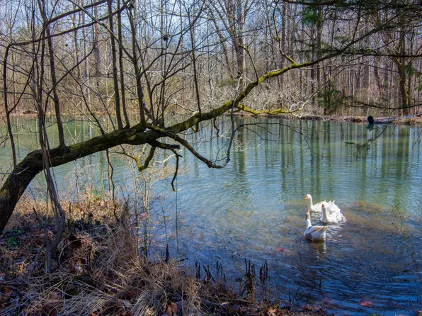 240 Sardis Church Rd, Whitwell, TN 37397