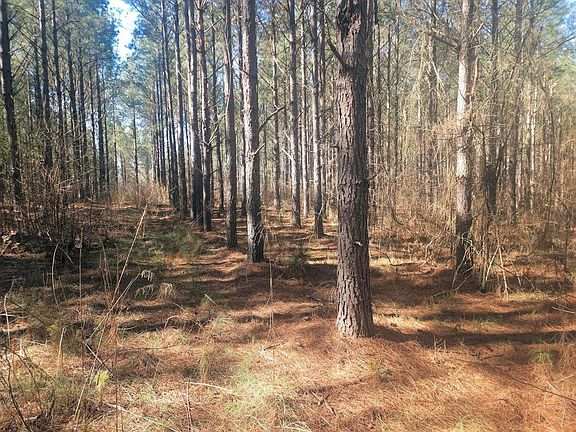 5th image of (Undisclosed Address)