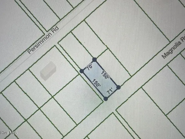 322 Magnolia Road, Boiling Spring Lakes, NC 28461