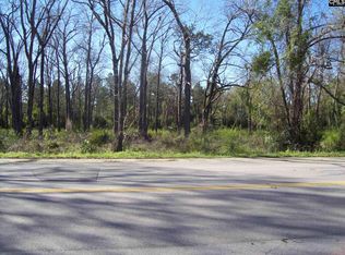 1104 Toshiba Ct, North, SC 29112