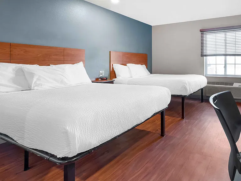 Studio Suite - 2 Queen Beds