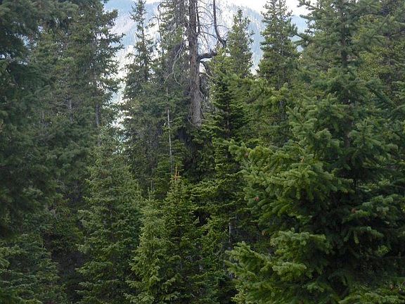 5th image of Fsr 627 627 Rd