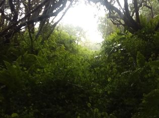 LOT 3 Lot 3, Naalehu, HI 96772