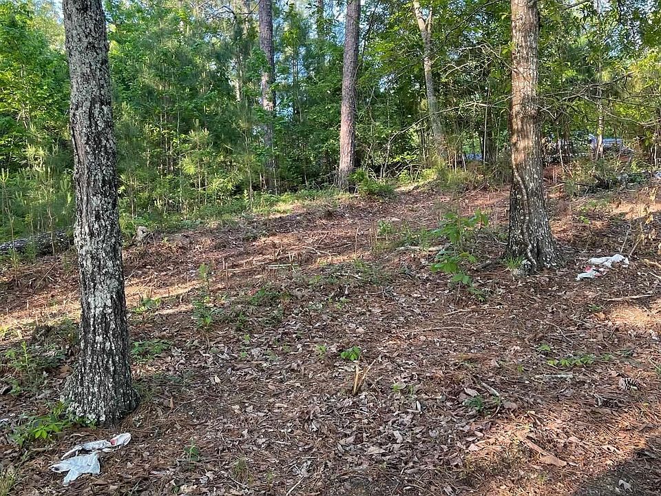2nd image of 181 Stillwater Trl #181