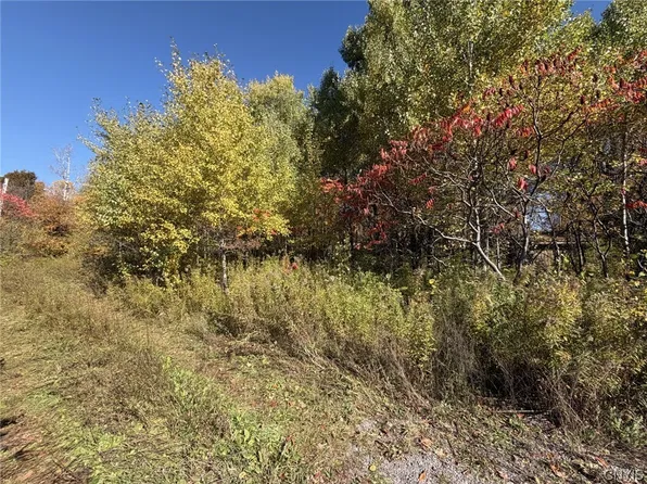 1521 Shoemaker Rd Lot 22, Mohawk, NY 13407