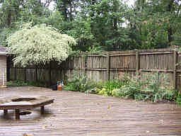 3rd image of 529 Rapidan Park