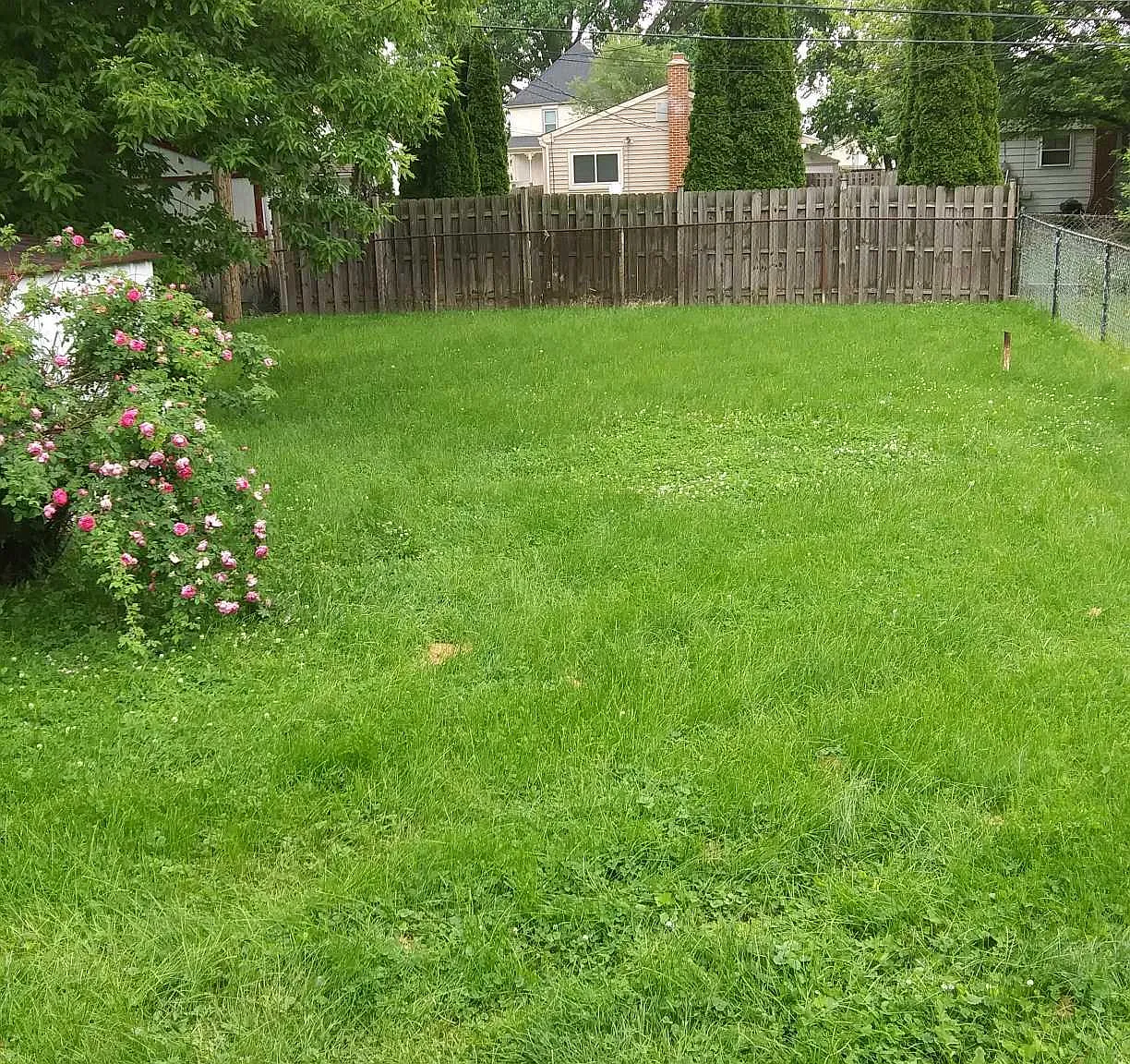 2 bed, 1000 sqft, $1,200 — Photo 4