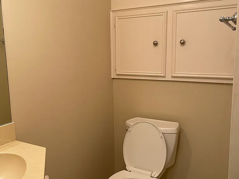 Downstairs bathroom with shower