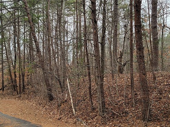 2nd image of 311 Sugarbush Ct
