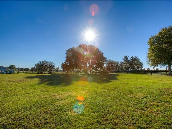 4th image of 10729 Osprey Landing Way