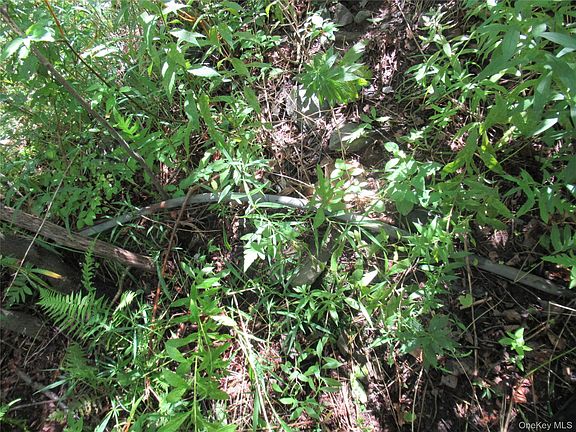 3rd image of TBD Ferndale Road