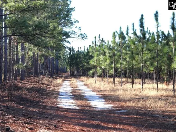 Holstein Rd, Wagener, SC 29164