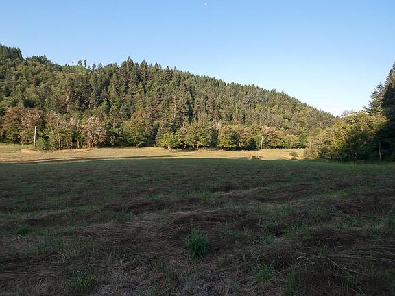 3rd image of 561 Paradise Creek Rd