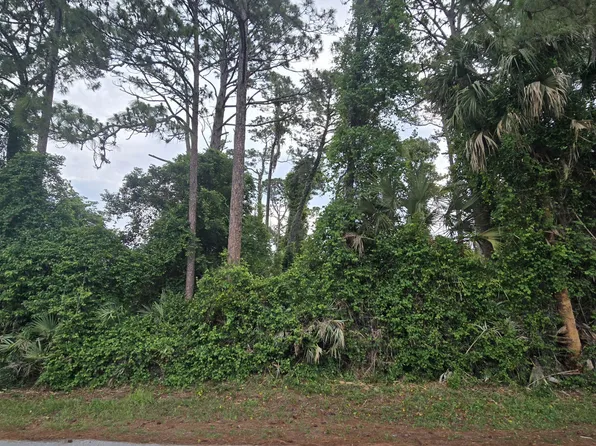 1927 Travelers Palm Dr, Edgewater, FL 32141