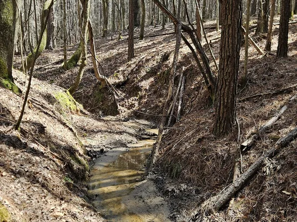 LOT 6 Shiloh Rd, Greensboro, GA 30642
