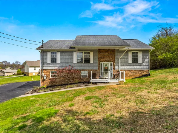 3020 Christopher Dr, White Pine, TN 37890