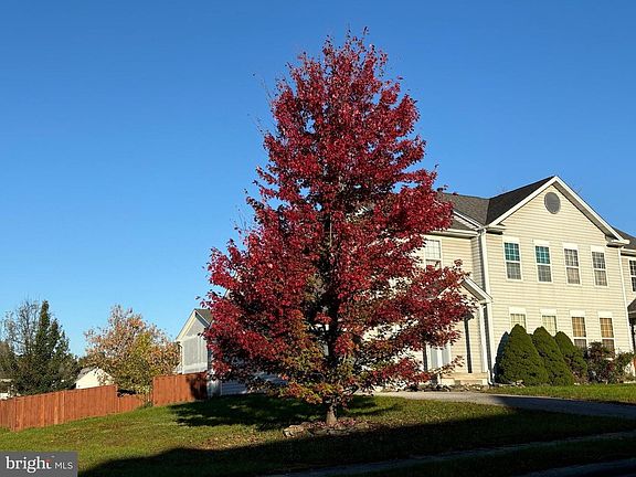 3rd image of 0 Robindale Dr