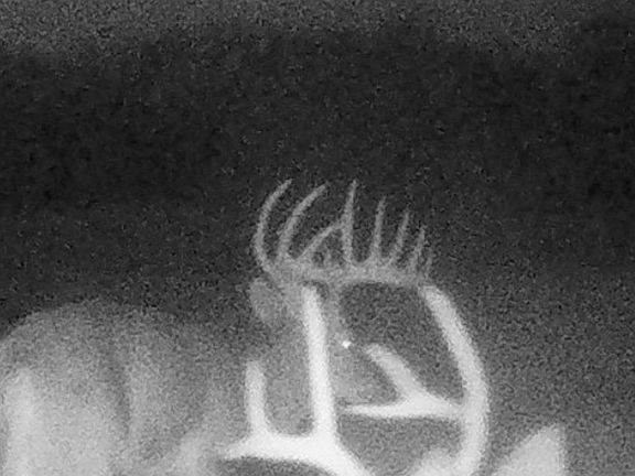 2nd image of 0 NE 140th Rd