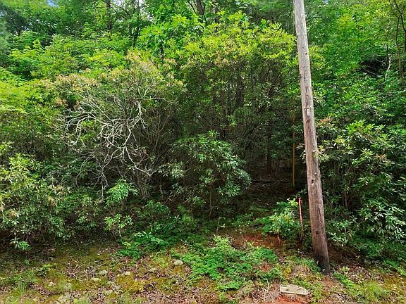 4th image of 0 Silver Shoals Cir