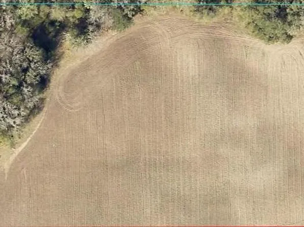 0 NW 93rd Ave #15, Micanopy, FL 32667