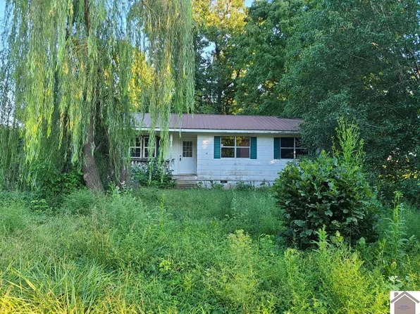 138 W Drake St, Drakesboro, KY 42337