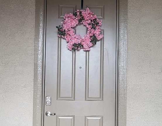 Front door
