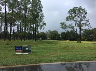 16132 Carencia Ln, Odessa, FL 33556