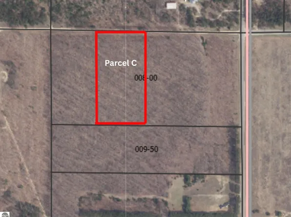 PARCEL C Peterson Rd, Mancelona, MI 49659