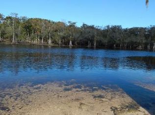 38 SE Cheetah Ln, Branford, FL 32008