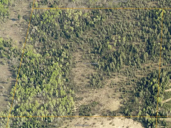 TBD Pulkinen Rd, Embarrass, MN 55732