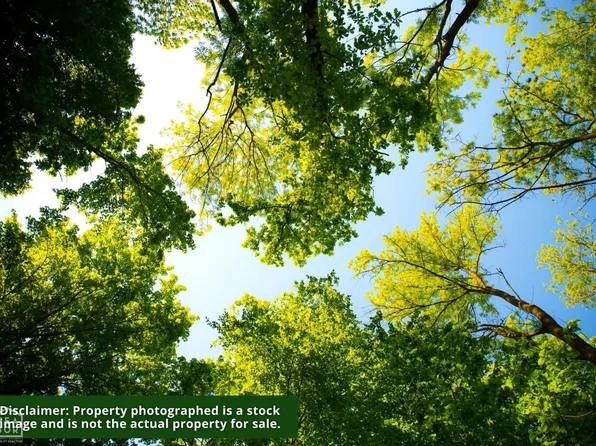 127 County Road 127, Evening Shade, AR 72532