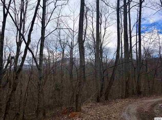 4711 Ogles Chapel Rd, Cosby, TN 37722