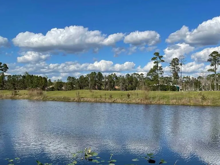 backyard view