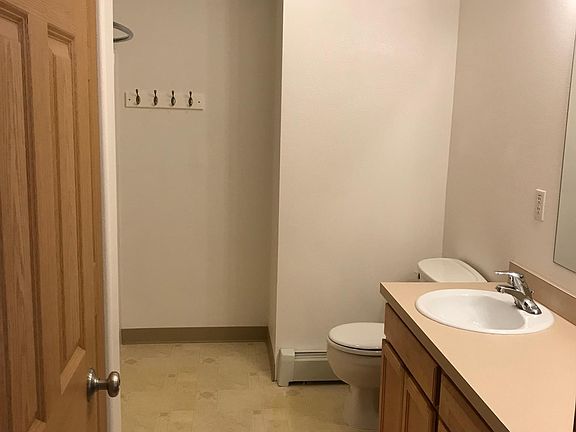 Bathroom with double vanity and a large closet behind door.