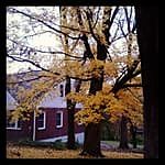 4th image of 1003 Holly Dr