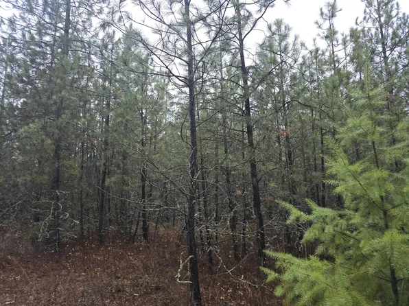 34XX N Deer Lake Rd, Loon Lake, WA 99148