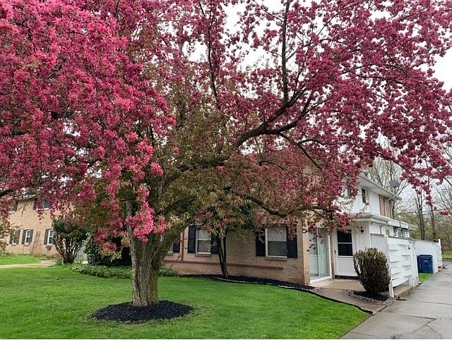 1st image of 48 Park Lane Ct