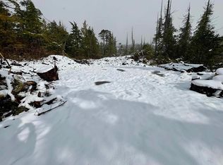 100 Bunchberry Ln, Ketchikan, AK 99901