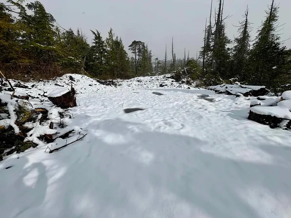 100 Bunchberry Ln, Ketchikan, AK 99901