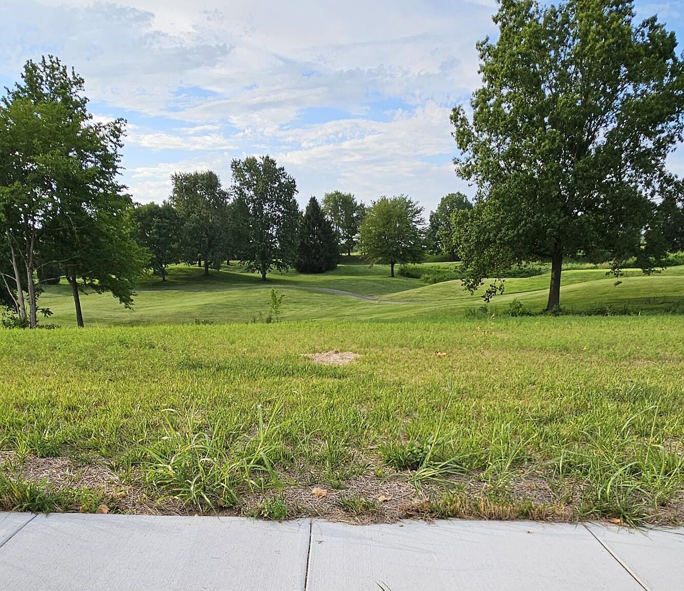 Lot 23 Vintage Pointe/Highland Spring