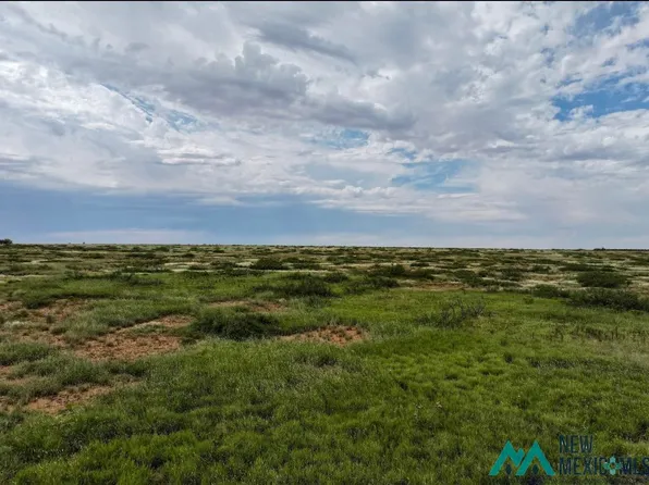Dona Ana Rd, Roswell, NM 88201