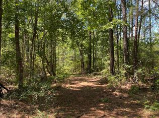 Burgetown Rd, Picayune, MS 39466