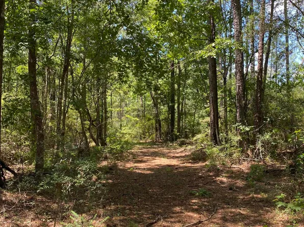 Burgetown Rd, Picayune, MS 39466