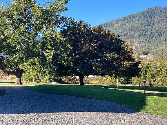 Maple Tree Picnic Area