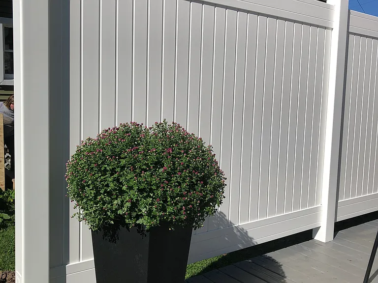 Mum flower and Planter not furnished.