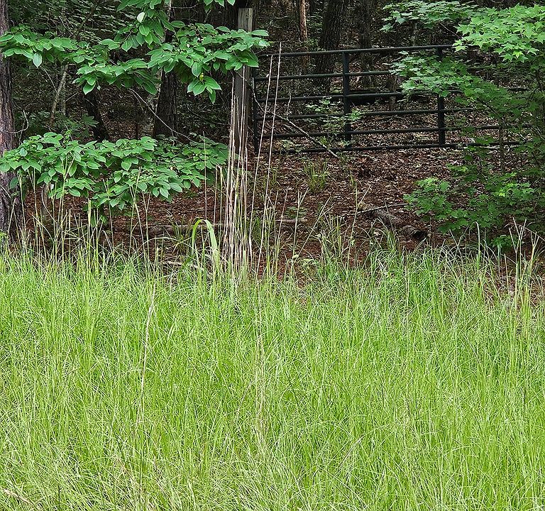 2nd image of 0 Barnes Mill Rd